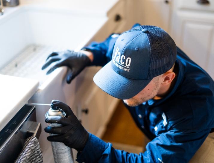 multiple-services image VACO Pest residential technician