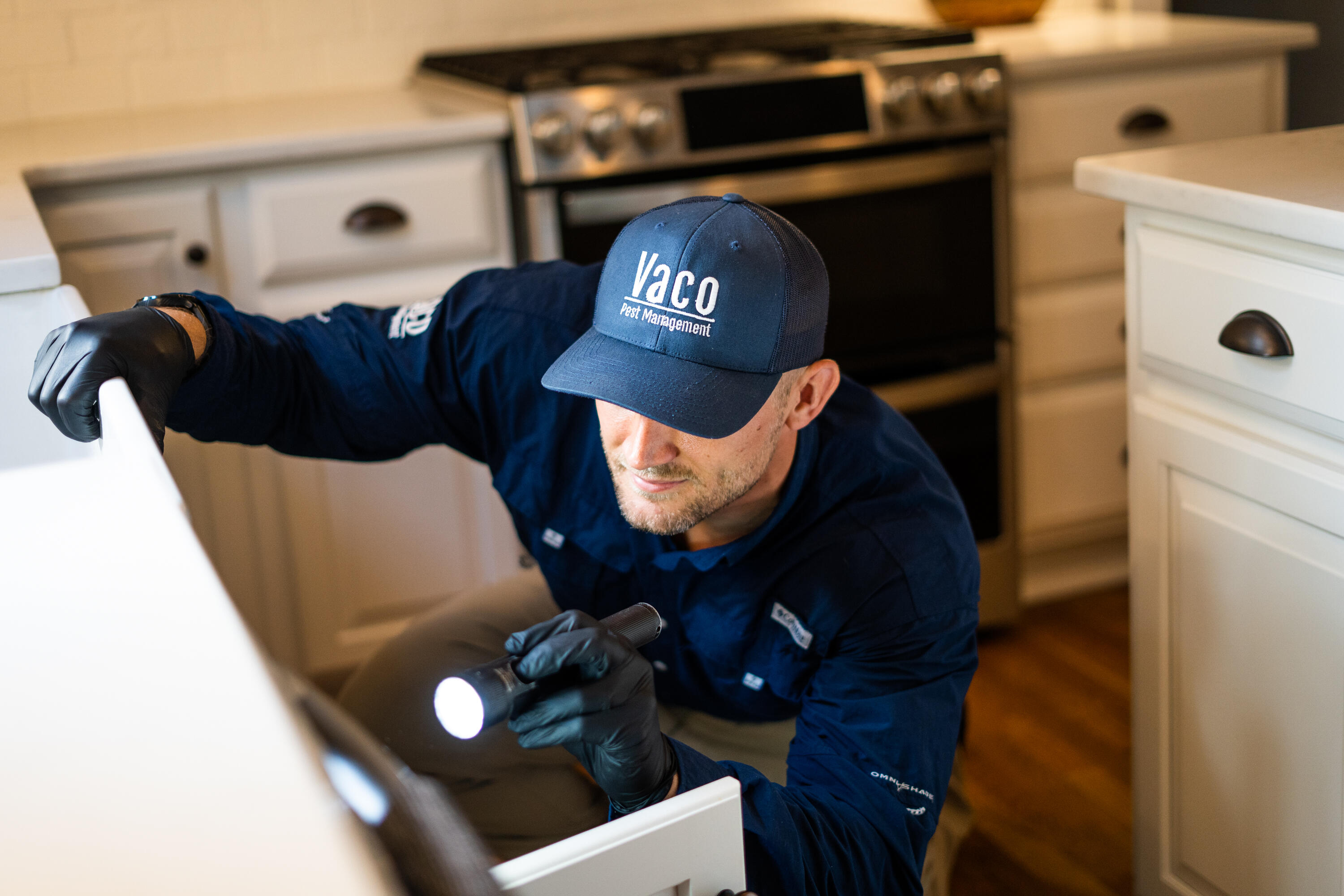 termiteinspections image